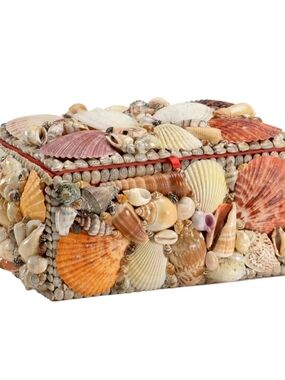 Natural Shell Trinket Box